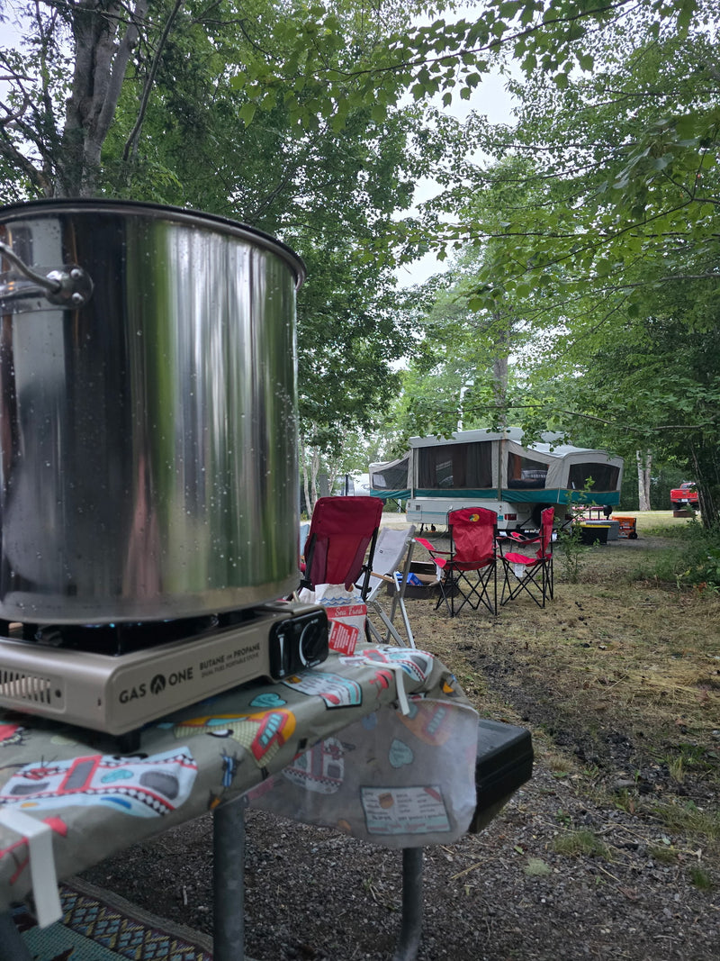 Gas One GS-3400P Propane or Butane Dual Fuel Stove
