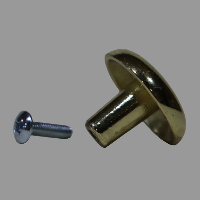 Metal screw and round metal knob on a plain background