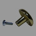 Metal screw and round metal knob on a plain background