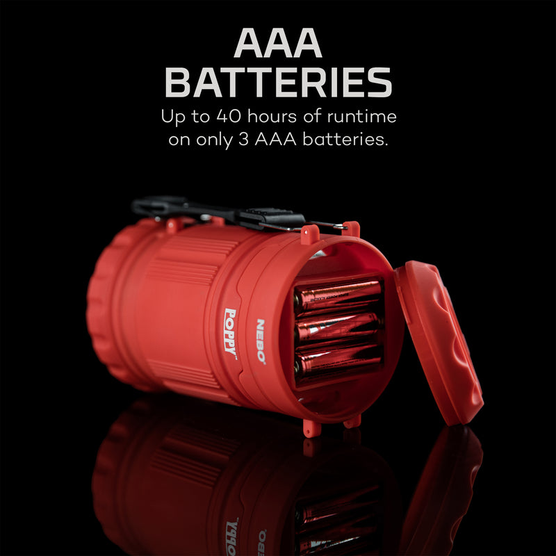 Poppy Lantern / Spotlight