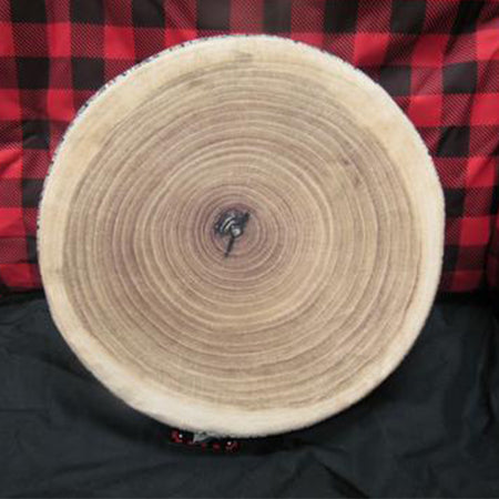 wood chip pillow sitting on a camp chair viewed from the front