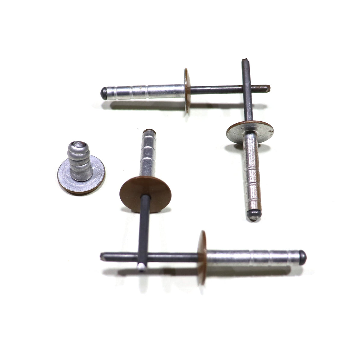 Brown Pop Rivet — coleman pop up parts