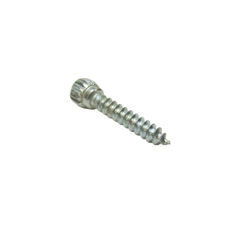 A single silver-colored metal screw against a white background.